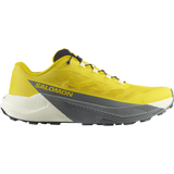PULSAR